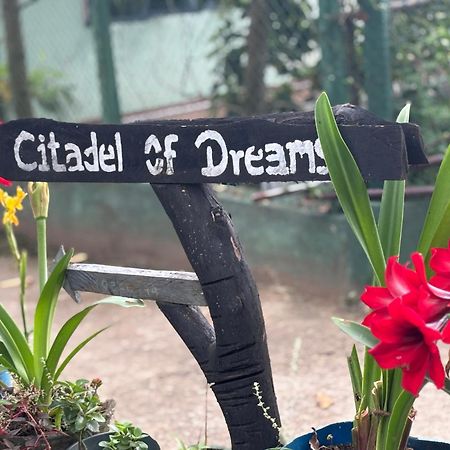 Citadel Of Dreams Ella Appartement Buitenkant foto
